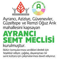 Ayrancı Semt Meclisi
